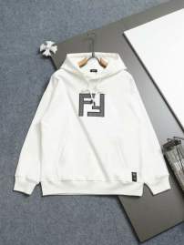 Picture of Fendi Hoodies _SKUFendiXS-Lxetr1013088